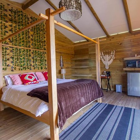 Bleu Hills Glamping Llanogrande 호텔 리오네그로 외부 사진